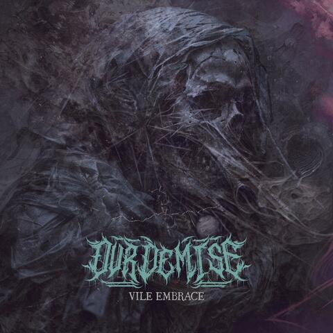 Vile Embrace album art