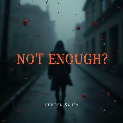 Not Enough? album art