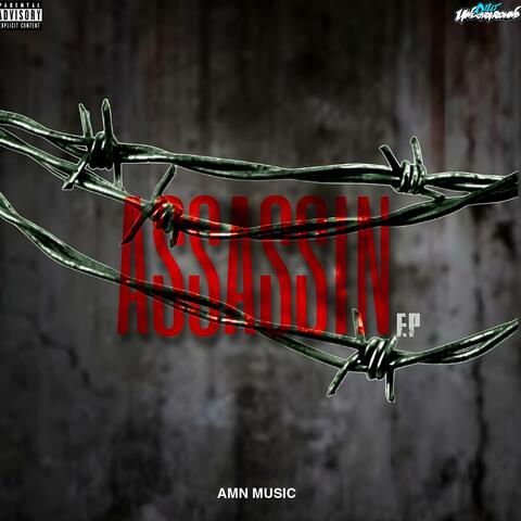 ASSASSIN album art