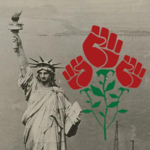 American Rose album art