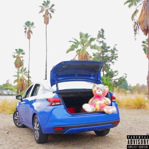I don't wanna be the dezignated driver... album art