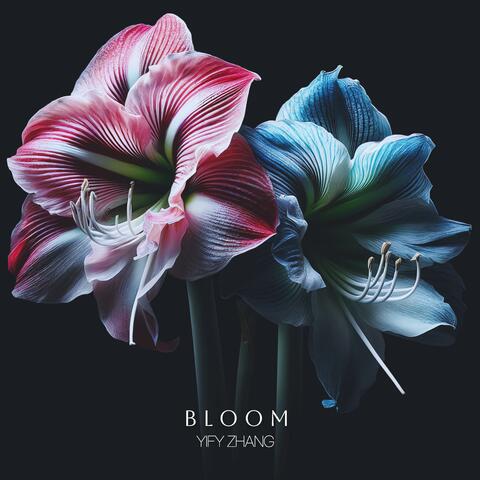 Bloom album art