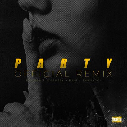 PARTY (feat. Rooderb, Gentek & Barnaggi) [REMIX] album art