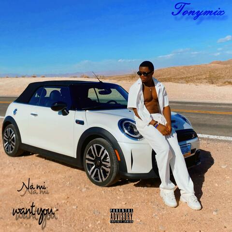 Na mi want you album art