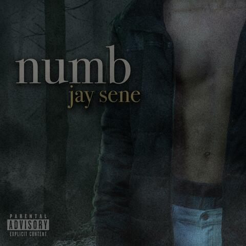 numb album art