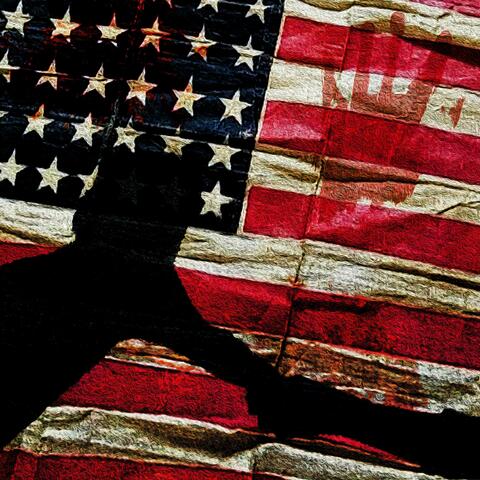 What's The American album art