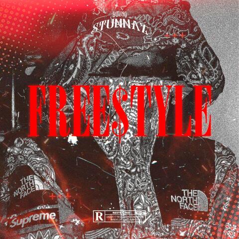 Free$tyle (feat. Young Stunnaz) album art