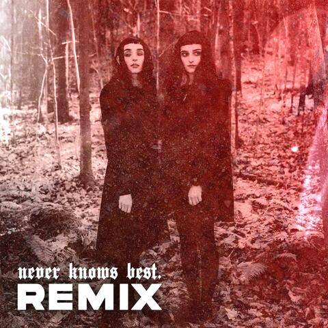 Never Knows Best (Remix) album art
