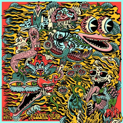 A Cosmic Year album art