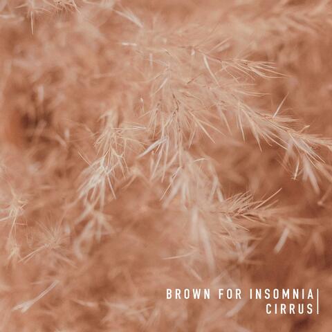 Brown for Insomnia album art