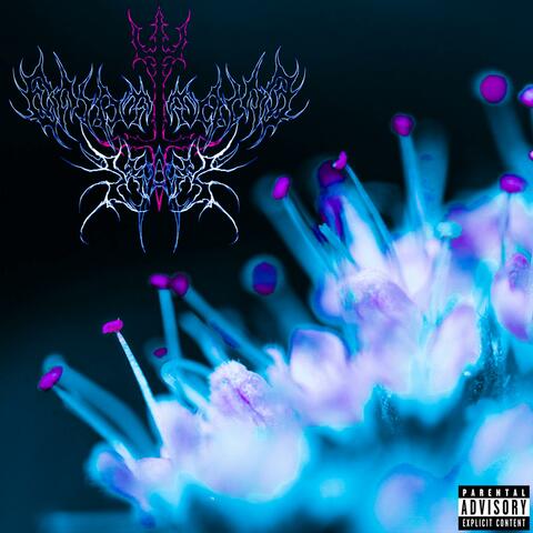 Razor Lines album art