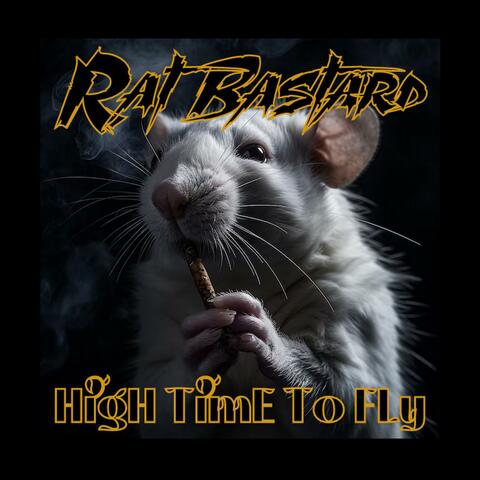 High Time to Fly album art