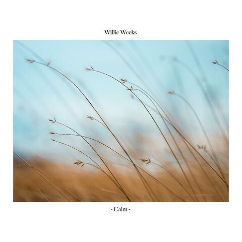 Calm album art