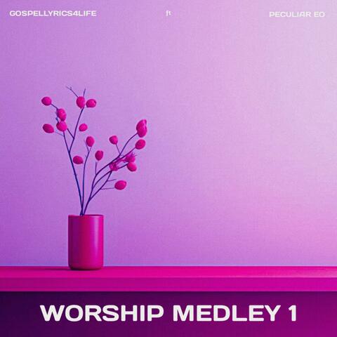 WORSHIP MEDLEY 1 (feat. Peculiar Eo) album art