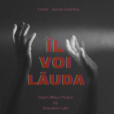 Îl Voi Lăuda album art