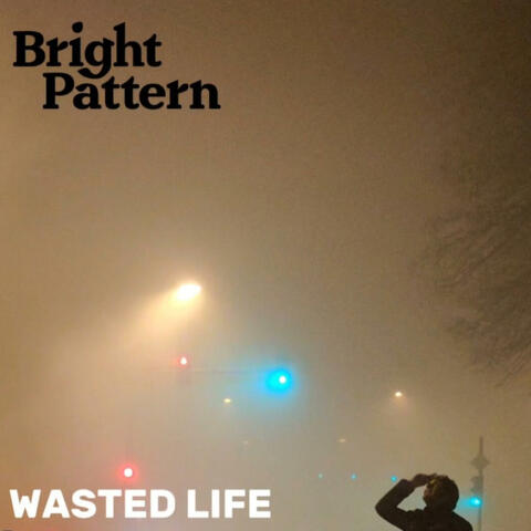 Wasted Life album art