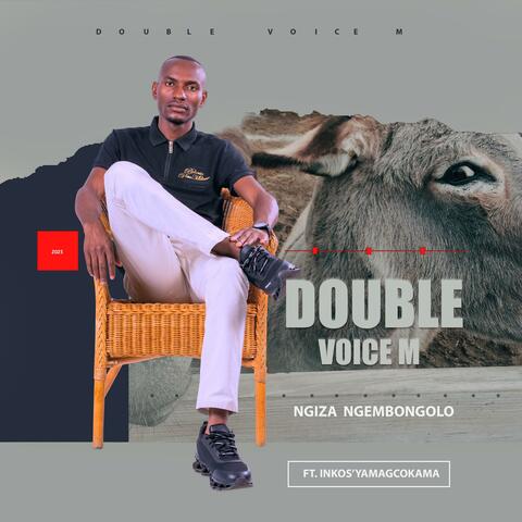 NGIZA NGEMBONGOLO album art