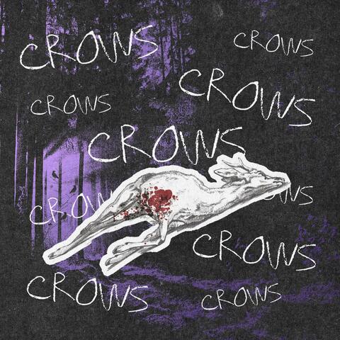CROWS CROWS CROWS album art