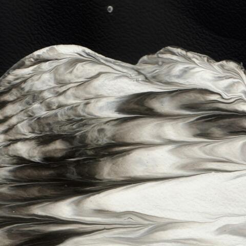Moonlight EP album art