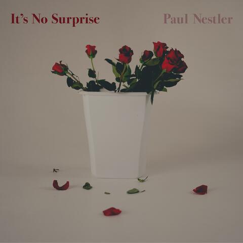 It's No Surprise album art