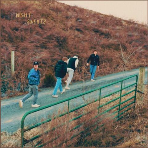night sweats album art