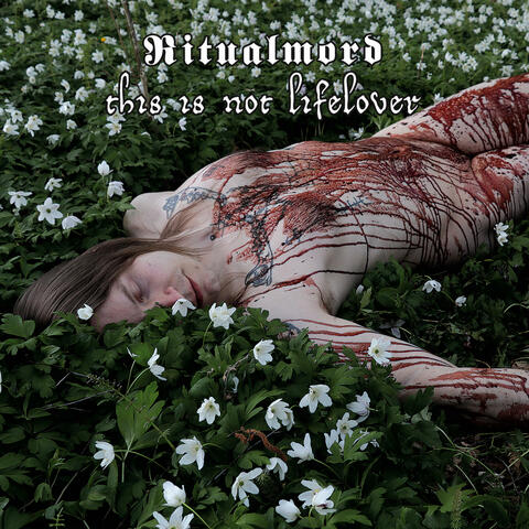 This is not Lifelover album art