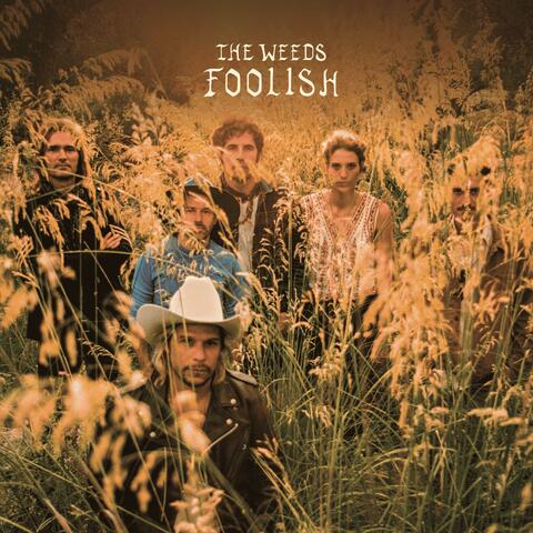 Foolish album art
