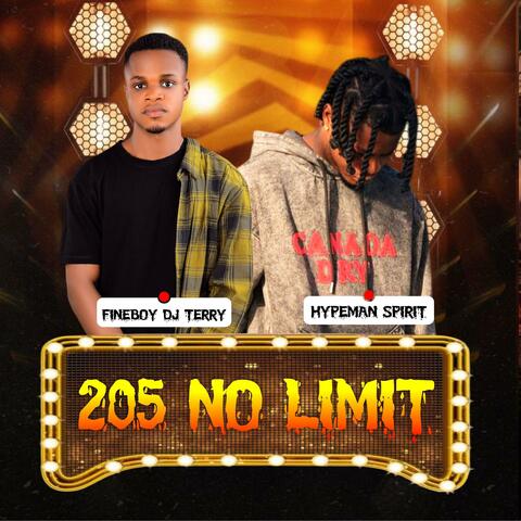 205 No Limit album art