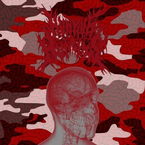 Headshot album art