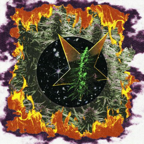 Garden of Weedan album art