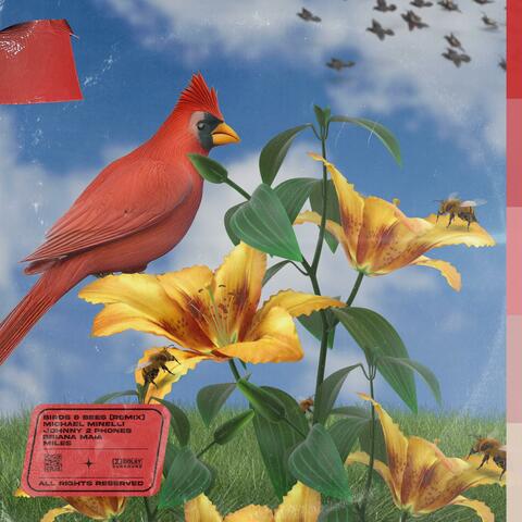 Birds & Bees (The Remixes) album art
