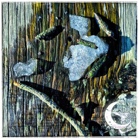 Terschelling album art