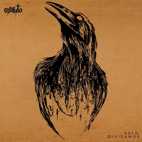 Solo olvidamos album art