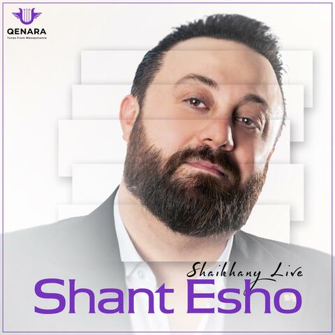 Shaikhany (Live) album art