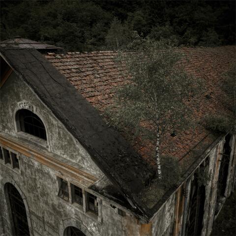 Frail album art