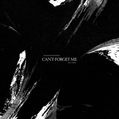 Can't Forget Me album art