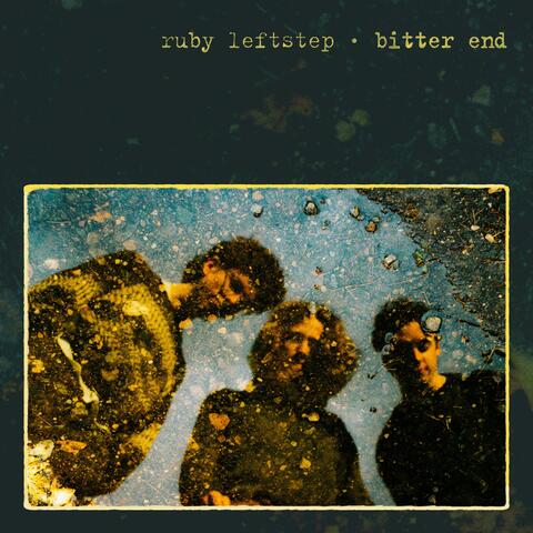 Bitter End album art