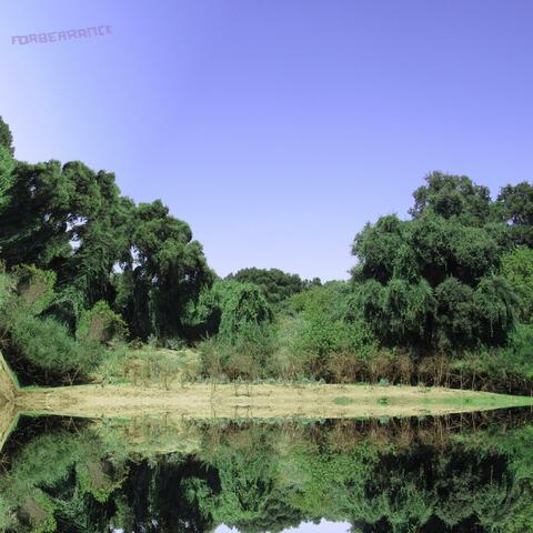 forbearance album art