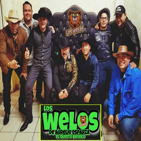 Los Welos, Vol. 1 album art