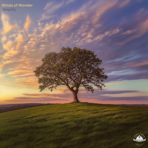 Simplify album art