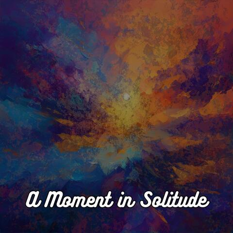 A Moment In Solitude album art