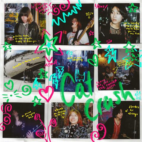 You Probably Never Will / Ugly Ducklings album art