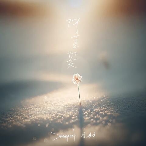 겨울꽃 album art