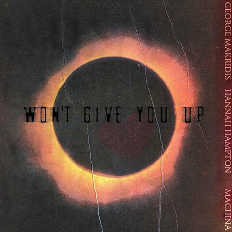 Won't Give You Up album art