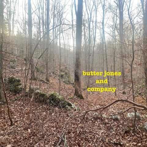 Lost In The Woods album art
