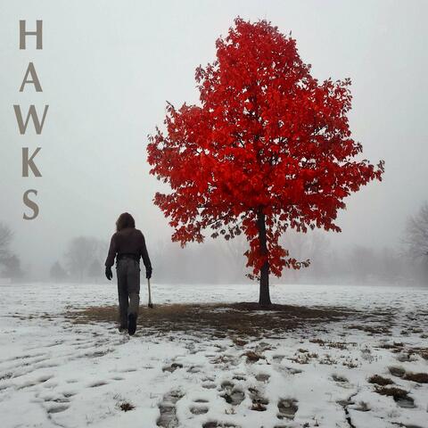 Hawks album art