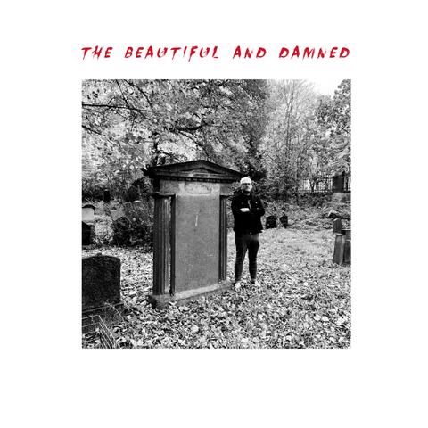 The Beautiful And Damned album art