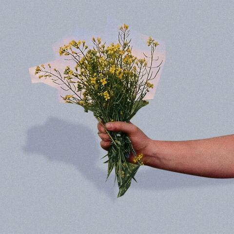 Swimmers album art