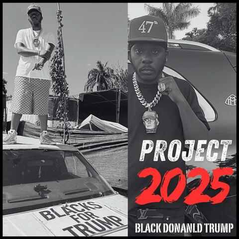 Project 2025 album art