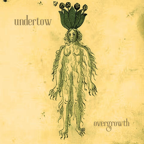 Overgrowth album art